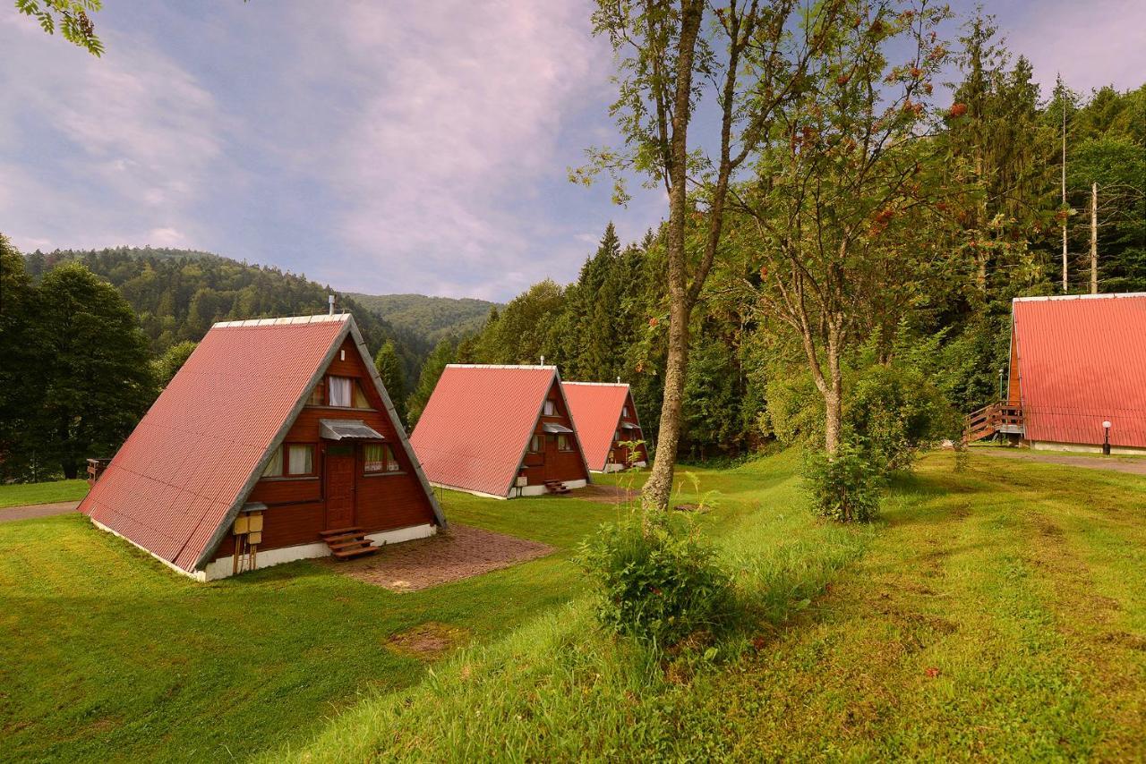 Perelka Bieszczady