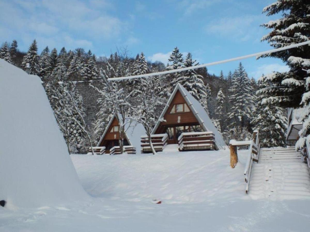 Perelka Bieszczady Holiday home *