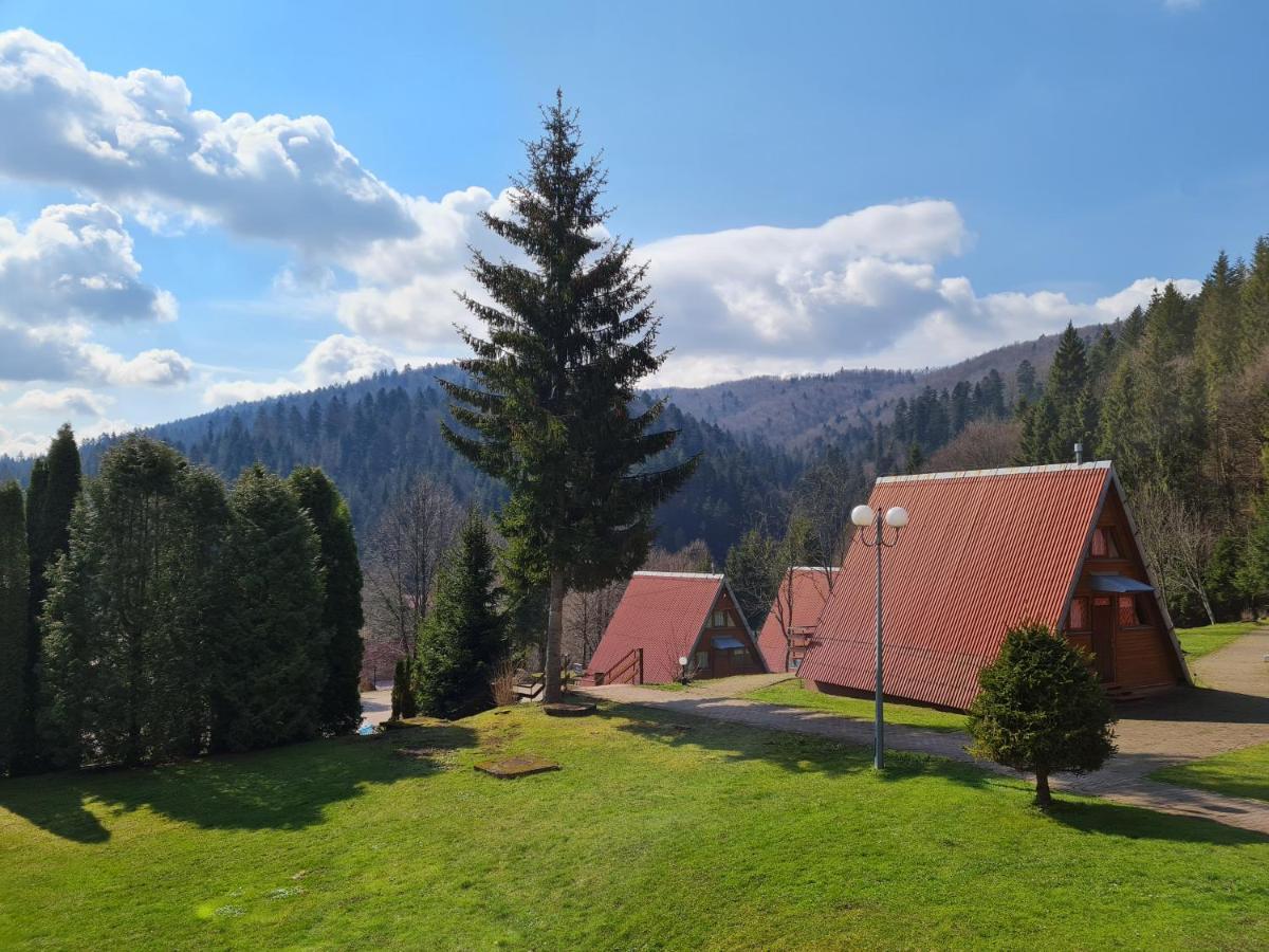 Perelka Bieszczady * Cisna