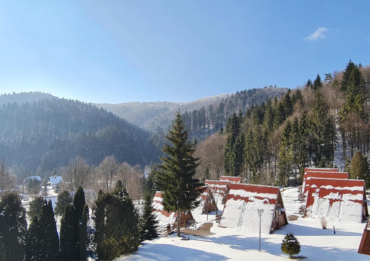 Perelka Bieszczady