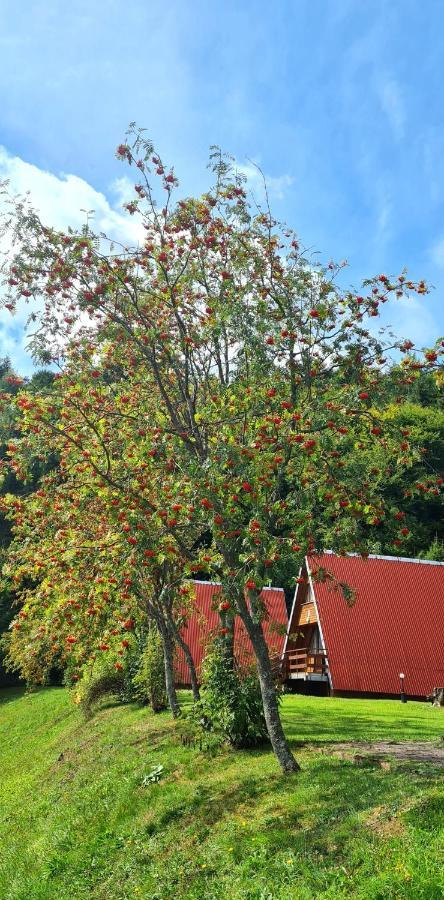 Perelka Bieszczady *