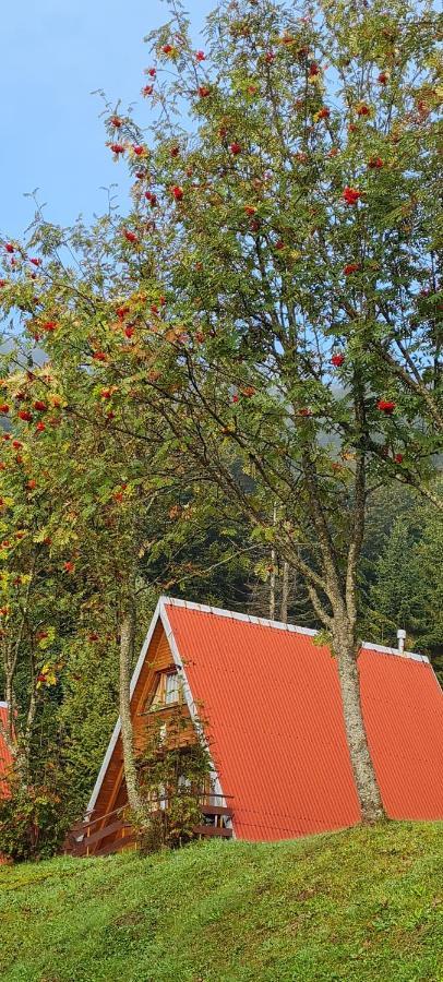 Perelka Bieszczady Holiday home Cisna