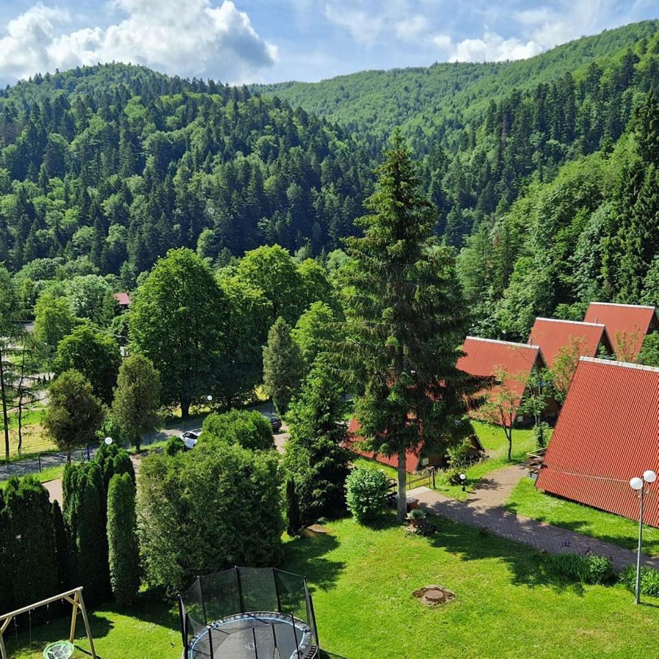 Perelka Bieszczady Cisna